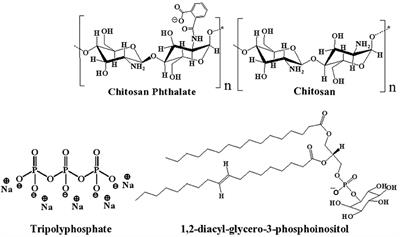 Novel Ellipsoid Chitosan-Phthalate Lecithin Nanoparticles for siRNA Delivery